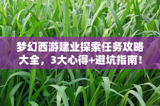 梦幻西游建业探索任务攻略大全,3大心得+避坑指南!梦幻西游建业探索任务全流程速通 梦幻西游建业探索任务攻略大全,3大心得+避坑指南!梦幻西游建业探索任务全流程速通