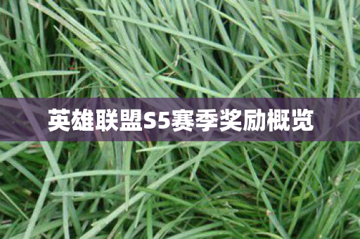 英雄联盟S5赛季奖励概览