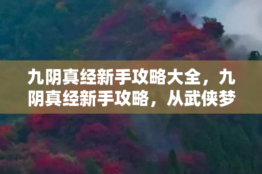 九阴真经新手攻略大全，九阴真经新手攻略，从武侠梦到氪金地狱的落差真相，笑着笑着哭了