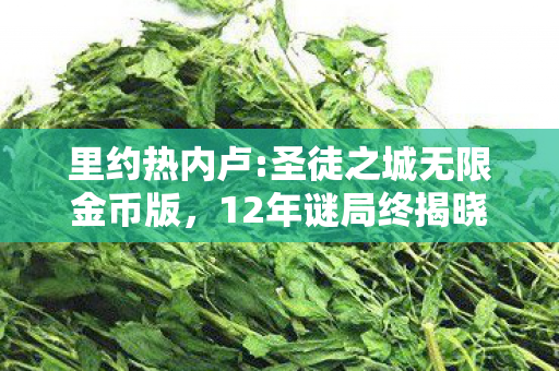 里约热内卢:圣徒之城无限金币版,12年谜局终揭晓,里约热内卢的圣徒之城,为何让全球玩家泪目? 里约热内卢:圣徒之城无限金币版,12年谜局终揭晓,里约热内卢的圣徒之城,为何让全球玩家泪目?