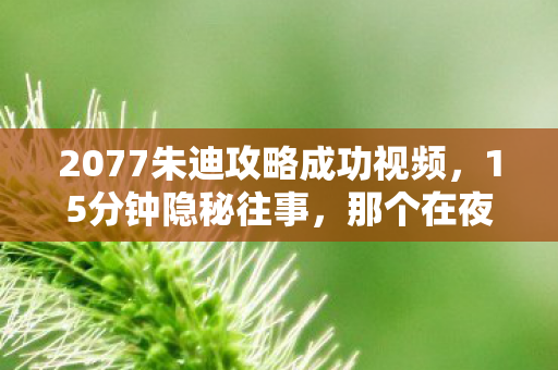 2077朱迪攻略成功视频,15分钟隐秘往事,那个在夜之城哽咽着说再见的朱迪 2077朱迪攻略成功视频,15分钟隐秘往事,那个在夜之城哽咽着说再见的朱迪