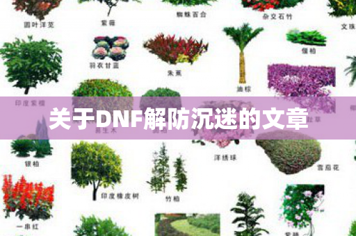 关于DNF解防沉迷的文章