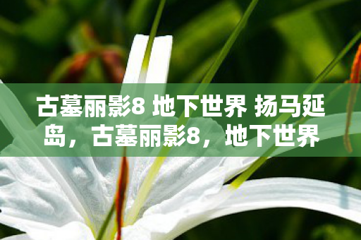 古墓丽影8 地下世界 扬马延岛,古墓丽影8,地下世界蹊跷大变!老粉直呼爷青结 古墓丽影8 地下世界 扬马延岛,古墓丽影8,地下世界蹊跷大变!老粉直呼爷青结