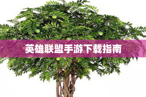 英雄联盟手游下载指南