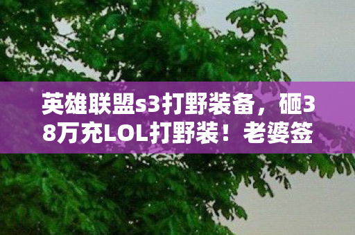 英雄联盟s3打野装备,砸38万充LOL打野装!老婆签离婚协议时,我才知这钱能买套房! 英雄联盟s3打野装备,砸38万充LOL打野装!老婆签离婚协议时,我才知这钱能买套房!