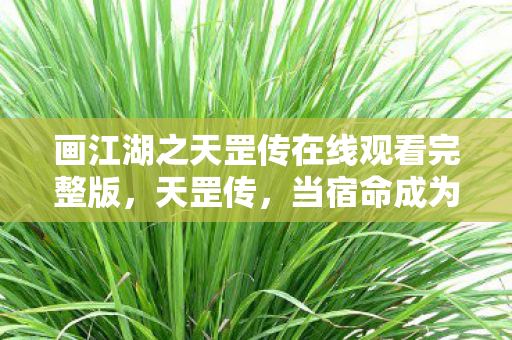 画江湖之天罡传在线观看完整版,天罡传,当宿命成为游戏关卡,自由意志如何突破次元枷锁? 画江湖之天罡传在线观看完整版,天罡传,当宿命成为游戏关卡,自由意志如何突破次元枷锁?
