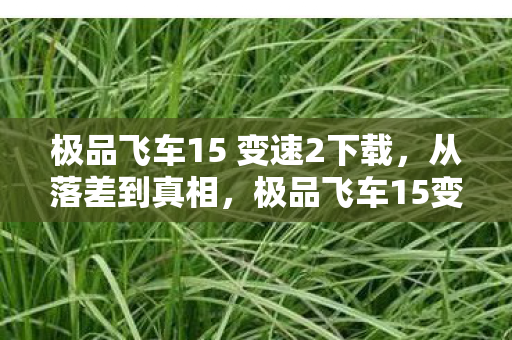 极品飞车15 变速2下载，从落差到真相，极品飞车15变速2，笑着骂完，哭着又登号