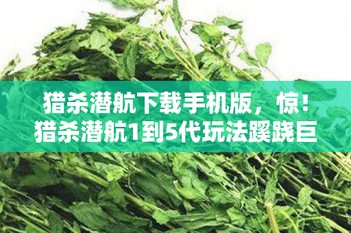 猎杀潜航下载手机版,惊!猎杀潜航1到5代玩法蹊跷巨变,老玩家直呼爷青结! 猎杀潜航下载手机版,惊!猎杀潜航1到5代玩法蹊跷巨变,老玩家直呼爷青结!