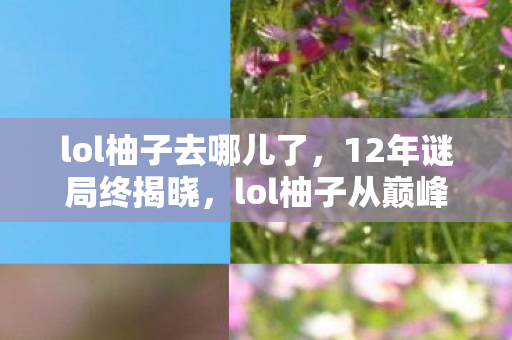 lol柚子去哪儿了，12年谜局终揭晓，lol柚子从巅峰到隐退，泪目真相竟藏于此