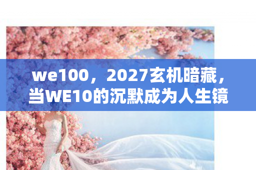 当WE10的沉默成为人生镜像图片