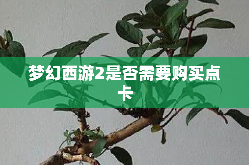 梦幻西游2是否需要购买点卡