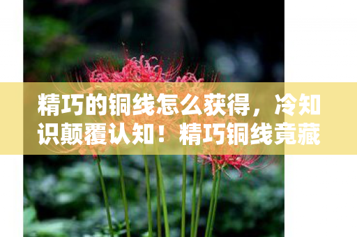 精巧的铜线怎么获得,冷知识颠覆认知!精巧铜线竟藏着十年老玩家目瞪口呆的秘密 精巧的铜线怎么获得,冷知识颠覆认知!精巧铜线竟藏着十年老玩家目瞪口呆的秘密