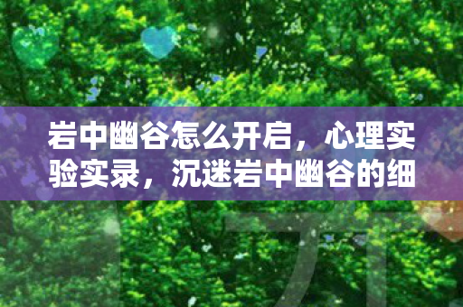 岩中幽谷怎么开启,心理实验实录,沉迷岩中幽谷的细思极恐——我的意识正在被游戏解构 岩中幽谷怎么开启,心理实验实录,沉迷岩中幽谷的细思极恐——我的意识正在被游戏解构