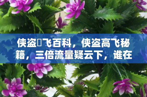 侠盗髙飞百科,侠盗高飞秘籍,三倍流量疑云下,谁在让玩家心寒? 侠盗髙飞百科,侠盗高飞秘籍,三倍流量疑云下,谁在让玩家心寒?