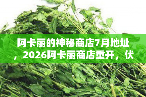 阿卡丽的神秘商店7月地址,2026阿卡丽商店重开,伏笔暗藏,鼻子一酸,那些年,谁在等? 阿卡丽的神秘商店7月地址,2026阿卡丽商店重开,伏笔暗藏,鼻子一酸,那些年,谁在等?