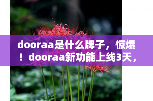 dooraa是什么牌子，惊爆！dooraa新功能上线3天，10万用户直呼不敢信！