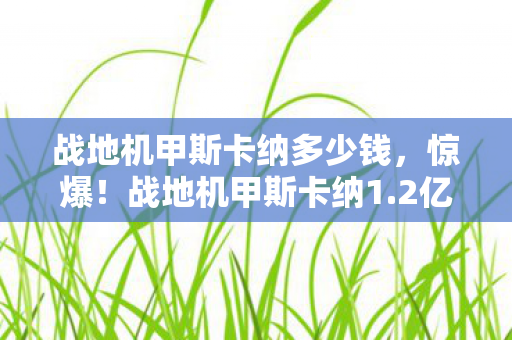 战地机甲斯卡纳多少钱,惊爆!战地机甲斯卡纳1.2亿项目隐情曝光,真相让人吓一跳! 战地机甲斯卡纳多少钱,惊爆!战地机甲斯卡纳1.2亿项目隐情曝光,真相让人吓一跳!