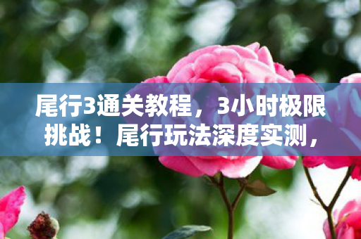 尾行3通关教程,3小时极限挑战!尾行玩法深度实测,这波操作让我冷汗直冒 尾行3通关教程,3小时极限挑战!尾行玩法深度实测,这波操作让我冷汗直冒