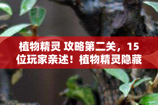 植物精灵 攻略第二关,15位玩家亲述!植物精灵隐藏关卡疑点,大神都绷不住的真相 植物精灵 攻略第二关,15位玩家亲述!植物精灵隐藏关卡疑点,大神都绷不住的真相
