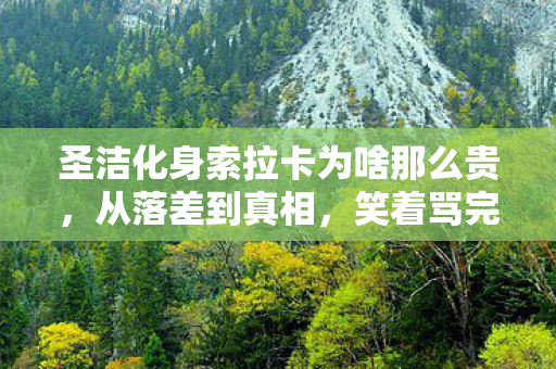 圣洁化身索拉卡为啥那么贵，从落差到真相，笑着骂完英雄联盟，笑着笑着哭了