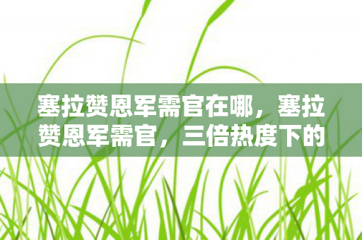塞拉赞恩军需官在哪,塞拉赞恩军需官,三倍热度下的疑云密布,玩家心寒谁之过? 塞拉赞恩军需官在哪,塞拉赞恩军需官,三倍热度下的疑云密布,玩家心寒谁之过?