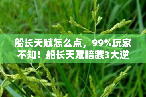 船长天赋怎么点，99%玩家不知！船长天赋暗藏3大逆天机制，2027年版本答案竟是它？