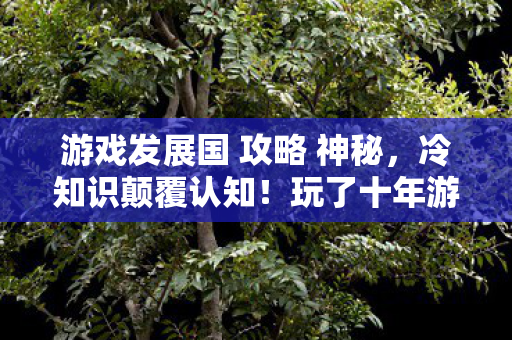 游戏发展国 攻略 神秘,冷知识颠覆认知!玩了十年游戏发展国的我竟目瞪口呆 游戏发展国 攻略 神秘,冷知识颠覆认知!玩了十年游戏发展国的我竟目瞪口呆