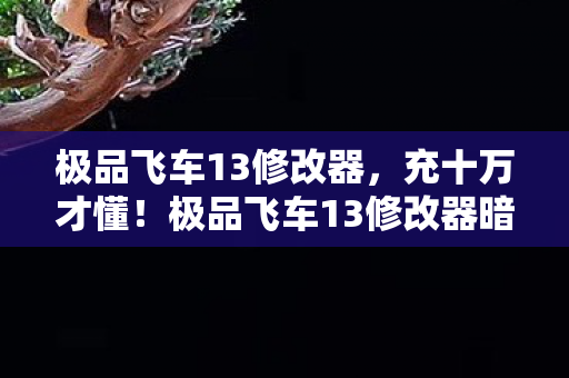 极品飞车13修改器,充十万才懂!极品飞车13修改器暗藏吸血陷阱,钱包惊掉! 极品飞车13修改器,充十万才懂!极品飞车13修改器暗藏吸血陷阱,钱包惊掉!