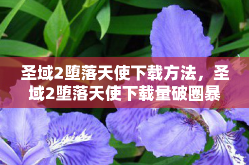 圣域2堕落天使下载方法,圣域2堕落天使下载量破圈暴涨300%!这波联名周边让我连泡面都吃不起了 圣域2堕落天使下载方法,圣域2堕落天使下载量破圈暴涨300%!这波联名周边让我连泡面都吃不起了