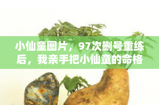 小仙童图片,97次删号重练后,我亲手把小仙童的命格改成了永寂 小仙童图片,97次删号重练后,我亲手把小仙童的命格改成了永寂
