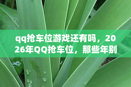 qq抢车位游戏还有吗,2026年QQ抢车位,那些年别走的约定,如今只剩鼻子一酸的回忆 qq抢车位游戏还有吗,2026年QQ抢车位,那些年别走的约定,如今只剩鼻子一酸的回忆