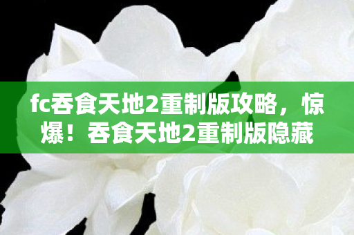 fc吞食天地2重制版攻略,惊爆!吞食天地2重制版隐藏的10大玄机,颠覆你的三国认知! fc吞食天地2重制版攻略,惊爆!吞食天地2重制版隐藏的10大玄机,颠覆你的三国认知!
