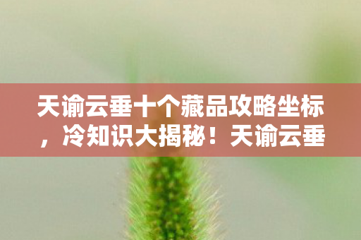 天谕云垂十个藏品攻略坐标,冷知识大揭秘!天谕云垂积分颠覆设定,玩家目瞪口呆! 天谕云垂十个藏品攻略坐标,冷知识大揭秘!天谕云垂积分颠覆设定,玩家目瞪口呆!