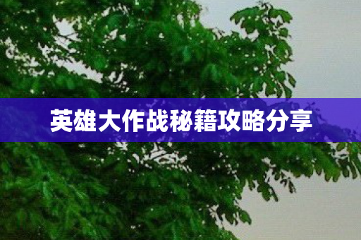 英雄大作战秘籍攻略分享 英雄大作战秘籍攻略分享