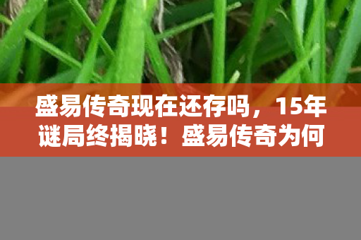 盛易传奇现在还存吗,15年谜局终揭晓!盛易传奇为何让百万玩家泪目? 盛易传奇现在还存吗,15年谜局终揭晓!盛易传奇为何让百万玩家泪目?