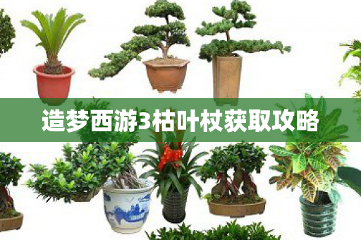 造梦西游3枯叶杖获取攻略