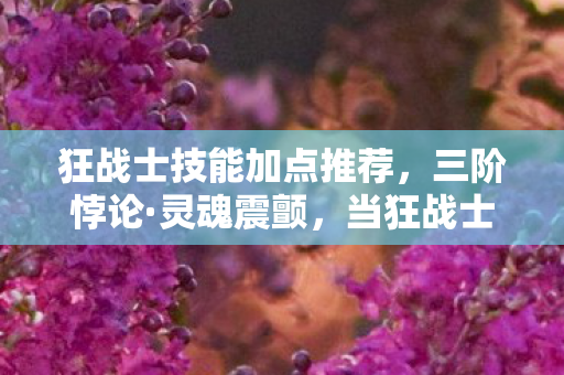 狂战士技能加点推荐,三阶悖论·灵魂震颤,当狂战士的斩击劈开自由意志的牢笼 狂战士技能加点推荐,三阶悖论·灵魂震颤,当狂战士的斩击劈开自由意志的牢笼