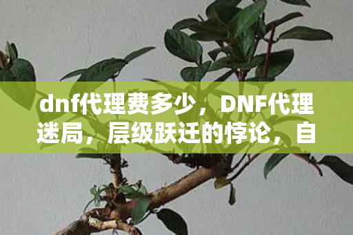 dnf代理费多少,DNF代理迷局,层级跃迁的悖论,自由意志在命运齿轮下的灵魂震颤 dnf代理费多少,DNF代理迷局,层级跃迁的悖论,自由意志在命运齿轮下的灵魂震颤