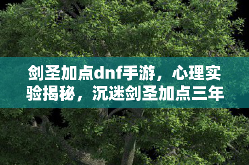 剑圣加点dnf手游,心理实验揭秘,沉迷剑圣加点三年,细思极恐的自我囚禁 剑圣加点dnf手游,心理实验揭秘,沉迷剑圣加点三年,细思极恐的自我囚禁
