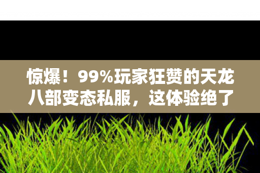 惊爆!99%玩家狂赞的天龙八部变态私服,这体验绝了! 惊爆!99%玩家狂赞的天龙八部变态私服,这体验绝了!