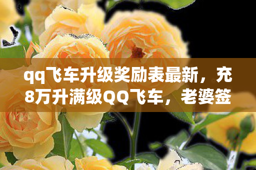 qq飞车升级奖励表最新,充8万升满级QQ飞车,老婆签离婚协议那晚,我才知钱是命根子! qq飞车升级奖励表最新,充8万升满级QQ飞车,老婆签离婚协议那晚,我才知钱是命根子!