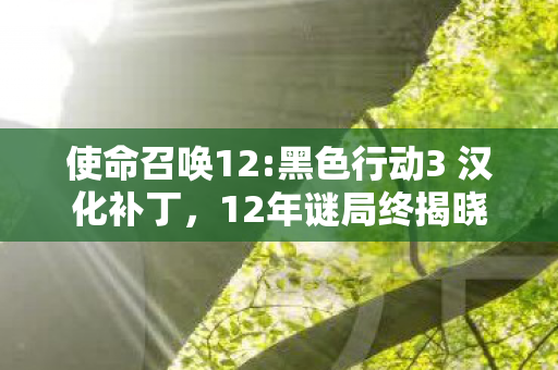 使命召唤12:黑色行动3 汉化补丁,12年谜局终揭晓,黑色行动3的泪目终章 使命召唤12:黑色行动3 汉化补丁,12年谜局终揭晓,黑色行动3的泪目终章