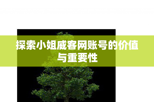探索小姐威客网账号的价值与重要性