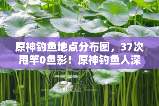 原神钓鱼地点分布图,37次甩竿0鱼影!原神钓鱼人深夜破防,这破机制是故意卡我命座? 原神钓鱼地点分布图,37次甩竿0鱼影!原神钓鱼人深夜破防,这破机制是故意卡我命座?