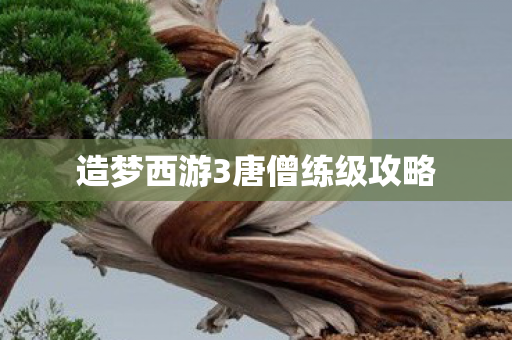 造梦西游3唐僧练级攻略
