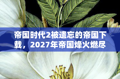 帝国时代2被遗忘的帝国下载,2027年帝国烽火燃尽时,那句等你竟成鼻子一酸的伏笔 帝国时代2被遗忘的帝国下载,2027年帝国烽火燃尽时,那句等你竟成鼻子一酸的伏笔