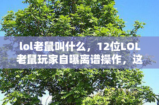 lol老鼠叫什么,12位LOL老鼠玩家自曝离谱操作,这疑点我当场绷不住! lol老鼠叫什么,12位LOL老鼠玩家自曝离谱操作,这疑点我当场绷不住!
