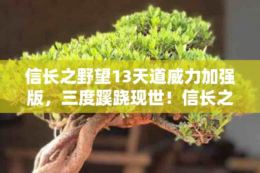 信长之野望13天道威力加强版,三度蹊跷现世!信长之野望13天道背后真相让人后背发凉 信长之野望13天道威力加强版,三度蹊跷现世!信长之野望13天道背后真相让人后背发凉