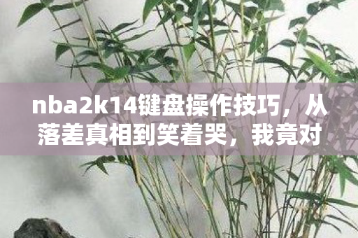 nba2k14键盘操作技巧,从落差真相到笑着哭,我竟对NBA2K14键盘操作如此痴迷 nba2k14键盘操作技巧,从落差真相到笑着哭,我竟对NBA2K14键盘操作如此痴迷