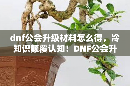 dnf公会升级材料怎么得,冷知识颠覆认知!DNF公会升级竟藏着目瞪口呆的十年谎言 dnf公会升级材料怎么得,冷知识颠覆认知!DNF公会升级竟藏着目瞪口呆的十年谎言